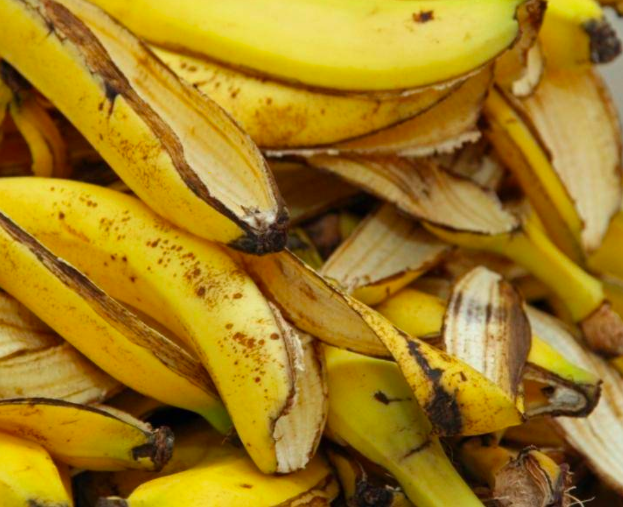 10 Uses And Benefits Of Banana Peels Mzansi Tips