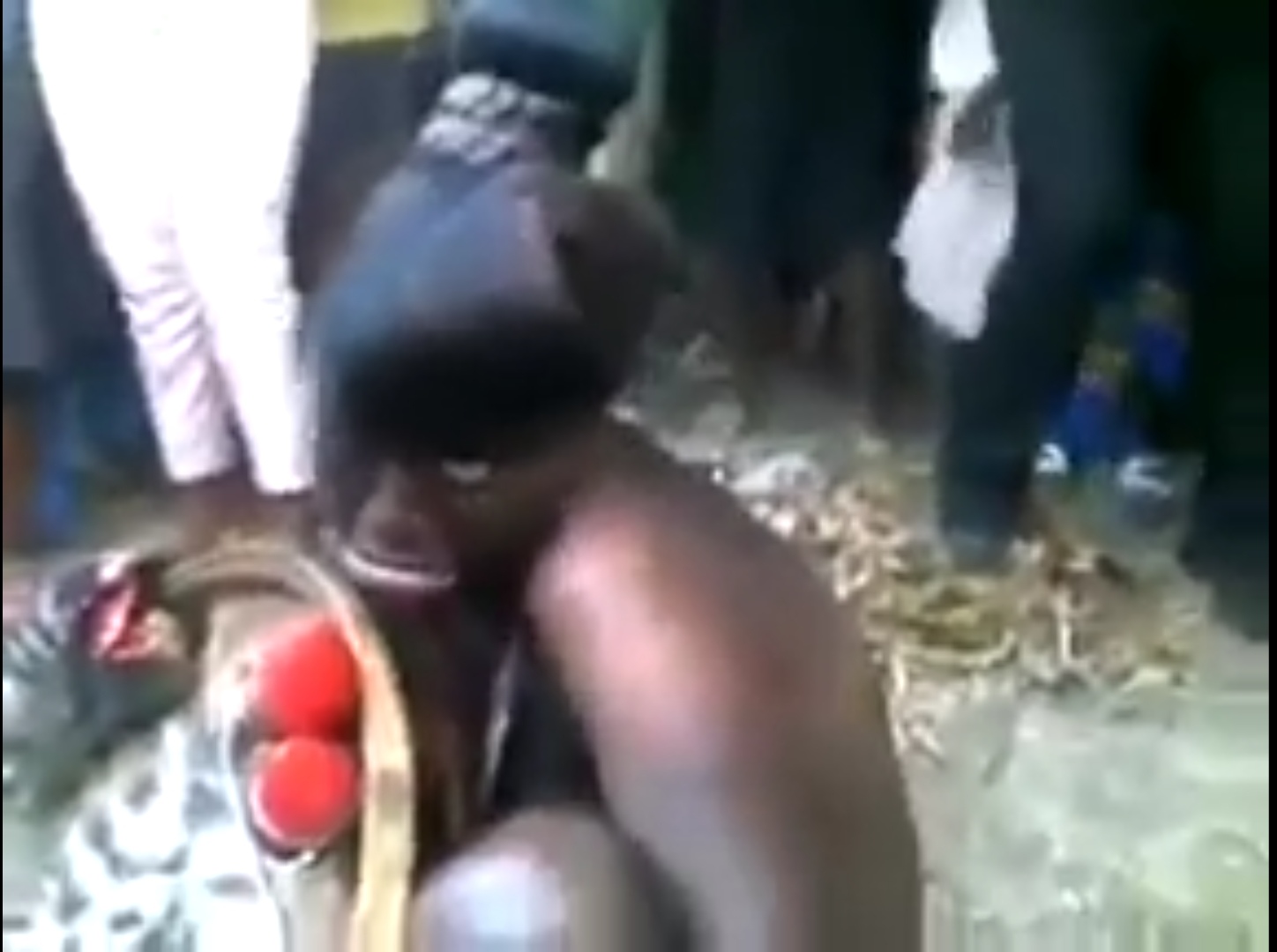 Watch group of Limpopo witches caught in action in