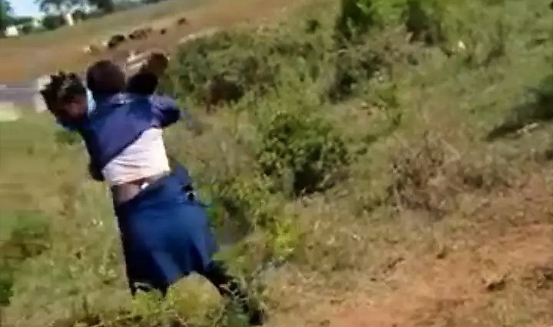 School girls fight in uniform 